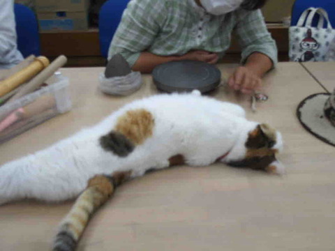 CC0902F4-CDC2-4392-8CE4-5CB0ED8917B1