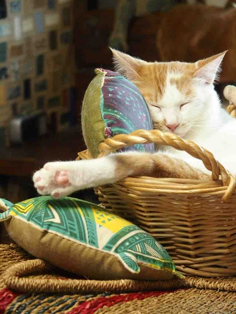 E841D75E-31F7-4B5E-AA8E-A038C1E5D11F