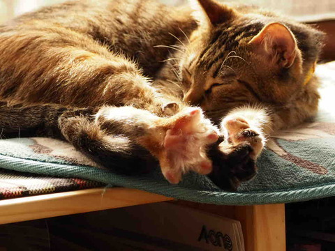 D4482868-8742-445B-A626-112328090B10