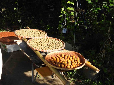 F103868E-D06C-497D-B0E9-6A6BE2FAFA2F