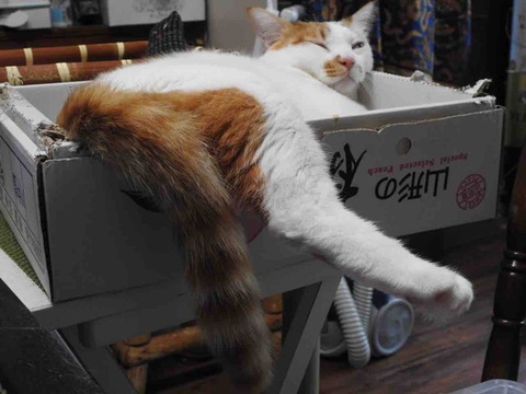 31347BF3-62F7-41C0-80FB-E573EA8A9408