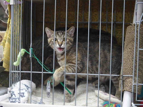 38B1CF3C-BE37-4DD8-BF93-0CD6B9630166