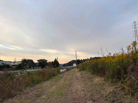 ADC83059-F785-49B0-A374-DF2961E2E351