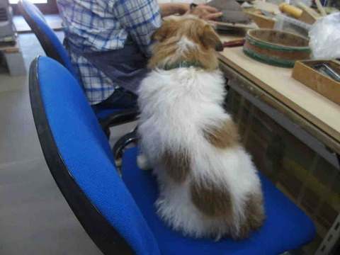 0039AAC6-AA39-42F1-92DC-EC9454378140