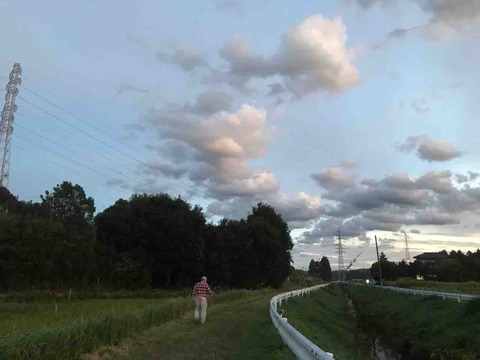 921E1430-133C-4779-9242-947724BE8ABF