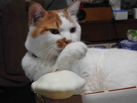 3067AC1A-C327-4514-9F3D-0F9FEF3EB2AA