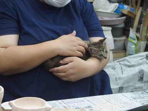 3E2282CC-FE3D-4CF0-A82D-396ADA42A3DA