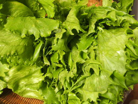 B84ECC9F-929B-4E3D-A1B1-B1585628B6BA