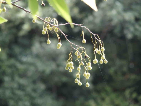 54621A2B-7765-4E4A-8AE8-EE7D0ED14B06