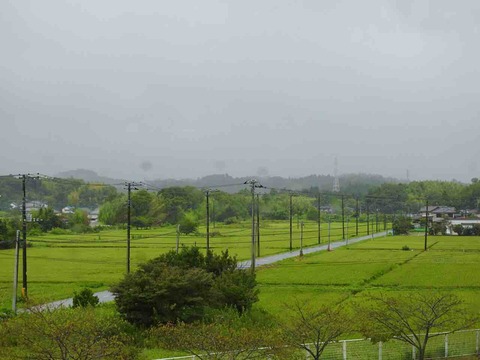 4B5933C1-4AF2-4989-8DDD-4D086D734F9E