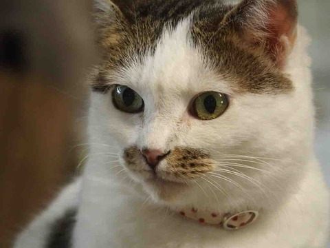 B970253D-691E-46FB-9EC0-24AD6F9F84EF