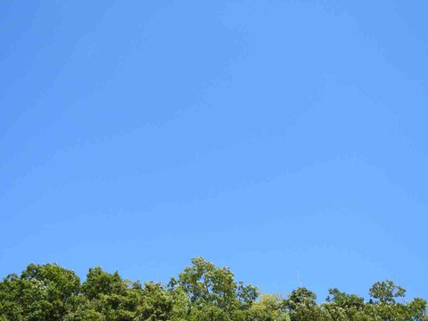 23138E45-5342-42AD-AA0D-4F62C25B39C0