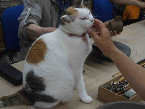 3F73039E-B281-4C0D-AFA9-890EE92AA87A