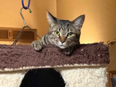 B43764EA-B17D-4AA8-BF1E-24A3CB1F7486