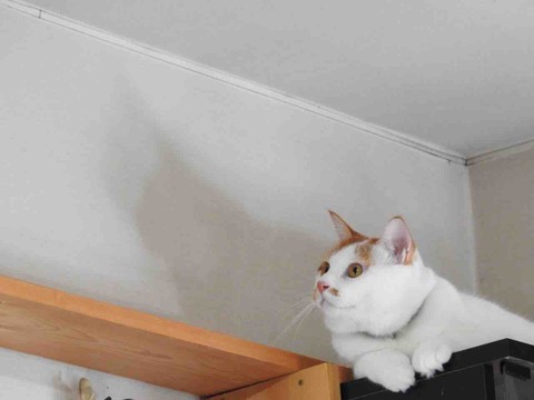 0CFB9429-2DBD-4346-8BF8-B78C7A706157