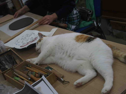 E29AFD6B-8828-482D-A626-E1BFEBC75979