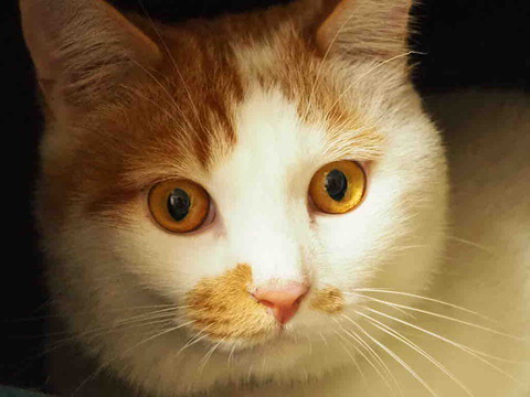 AF338C9A-15AA-4608-A703-2C27EE18EDEA