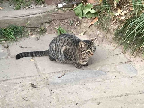 510B5E85-FDCF-4302-AEBC-6CE6E6110676