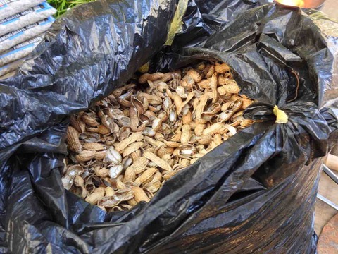 F172C572-685A-4351-8228-B29653F31219