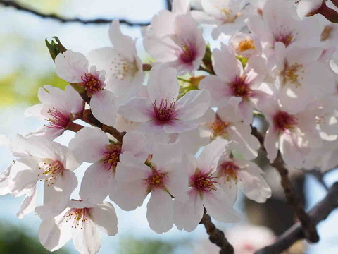 2AA7FC55-36C5-4103-ABB3-0CCAAC660019