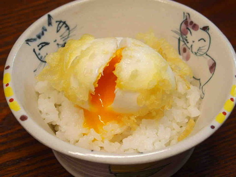 1A6ABC87-1033-4FD9-BA2A-6F187FEE0377