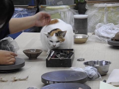 506CB345-8DEC-4133-A313-643A932FD86F