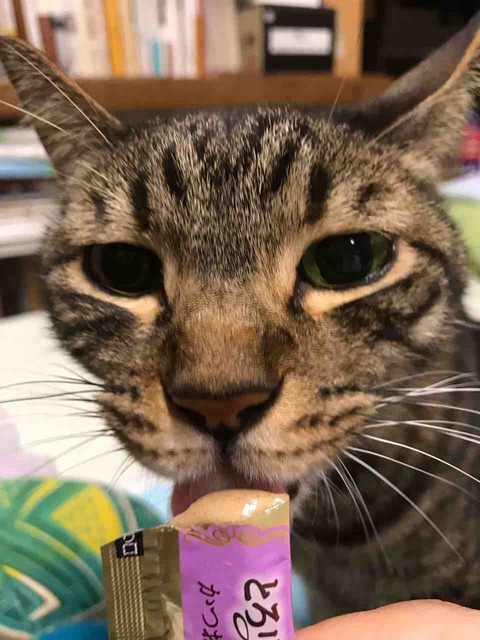 92754CB9-61A9-4A34-A7AD-68057D807B3B