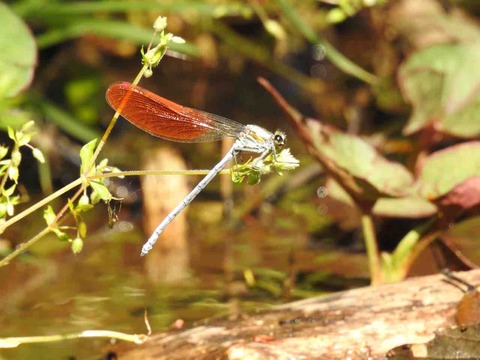 22E597A6-BD3D-40CC-833C-810F3A6B0B75