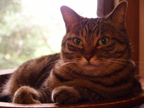 E5A3DA82-94A8-47F5-A45A-6B8EB3AF4DB4