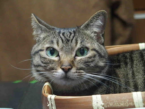 986F918A-9DE6-4007-B53C-A29D50292B10