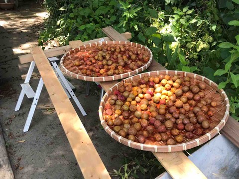 57930B42-92E4-47BC-81D1-C0C12E01E6CB