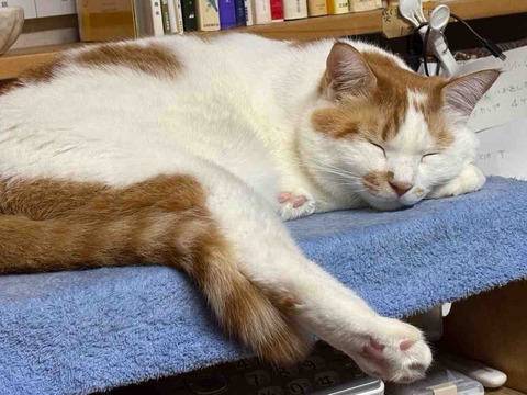 64503790-8D97-47BD-9A53-88CCC582BA1C