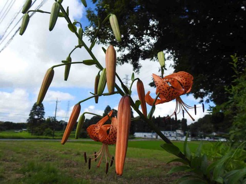 E3940BE6-5078-4DEB-83EB-1626EEF65364