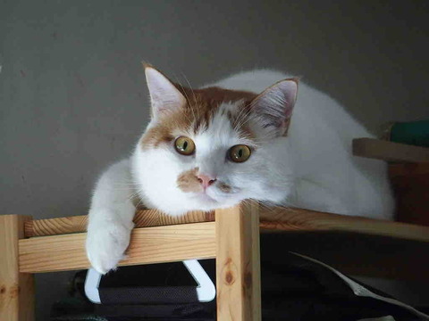 25713478-B632-456B-B0A6-013D0AB842B5