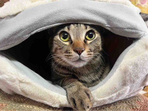 BAB5EC8E-84CE-4888-8E58-687D2F636522