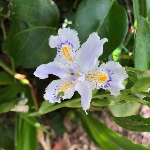 C9AE2F22-F21D-4048-AA5E-6B69B0BCB578