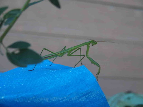 1B802CA2-5C85-4D9D-8760-4816531A4004