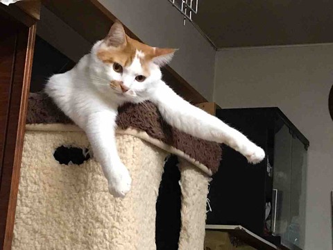 CBAB0A6D-A219-4706-842C-5F21B9F4EE53