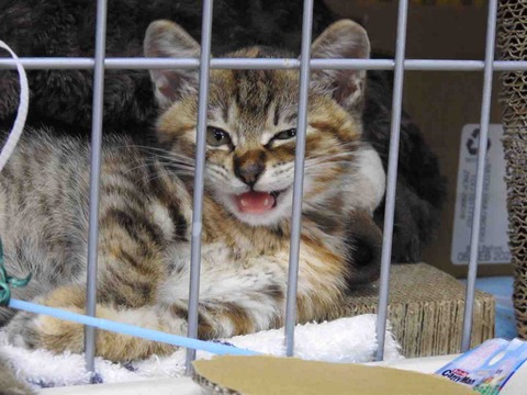 313274D8-6AFB-42C8-B7F2-9B62D2C63630