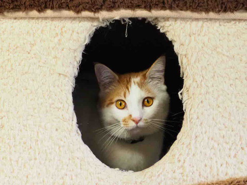 94009842-D27E-403E-A047-5A3B5839705F