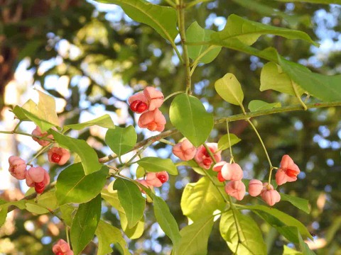 5F3982E9-287D-4075-A143-2AF88470F12E