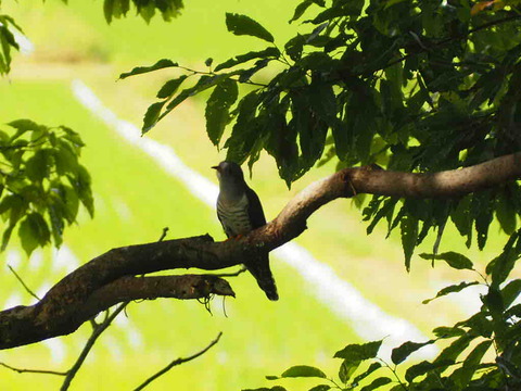 7FD4F99B-2457-4575-88BE-6EDD3367B5BC