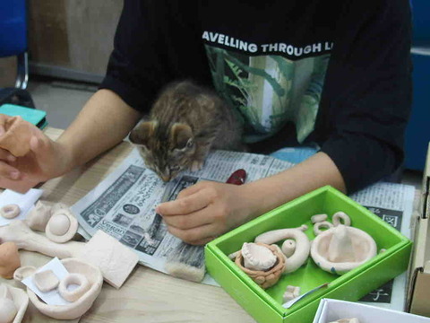 BFE24E1B-ECF2-461D-8BFA-EE717B757B80