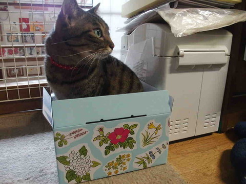 093811A9-F5E6-4DB9-A338-D056E15DC8C4