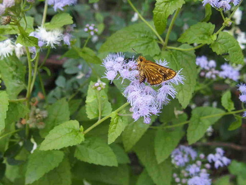 C002615F-22A6-4D2B-A0FD-9BFEB1D75B60