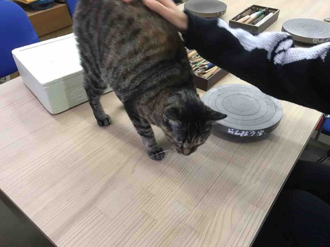 B1F08E7C-91CB-4820-B569-BF04185CC4BD