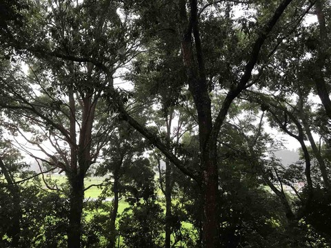 BEF480DF-B2CD-4565-B7AF-FB1AED381C9E