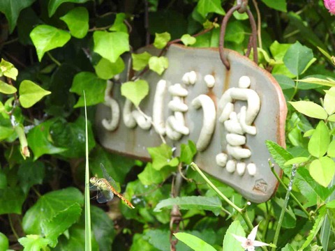 0623DFB6-DE6C-4405-BE86-A2360C379848