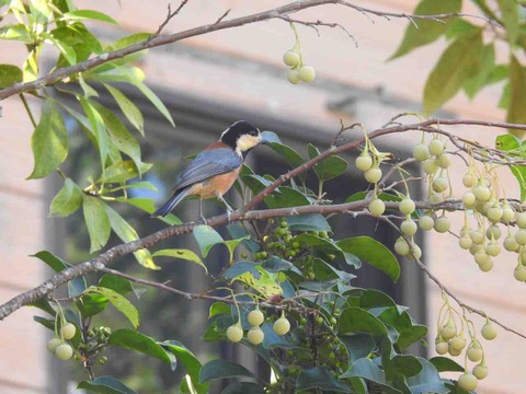 66F935AB-06CB-4DE5-A558-4F8E4BCABE91