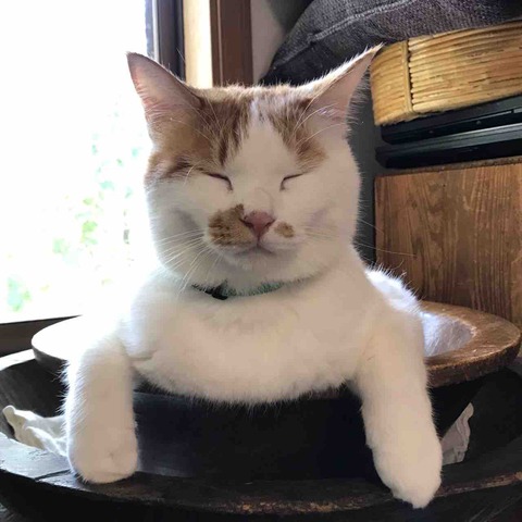 EFFA202D-E343-4B70-94BC-286D81954056